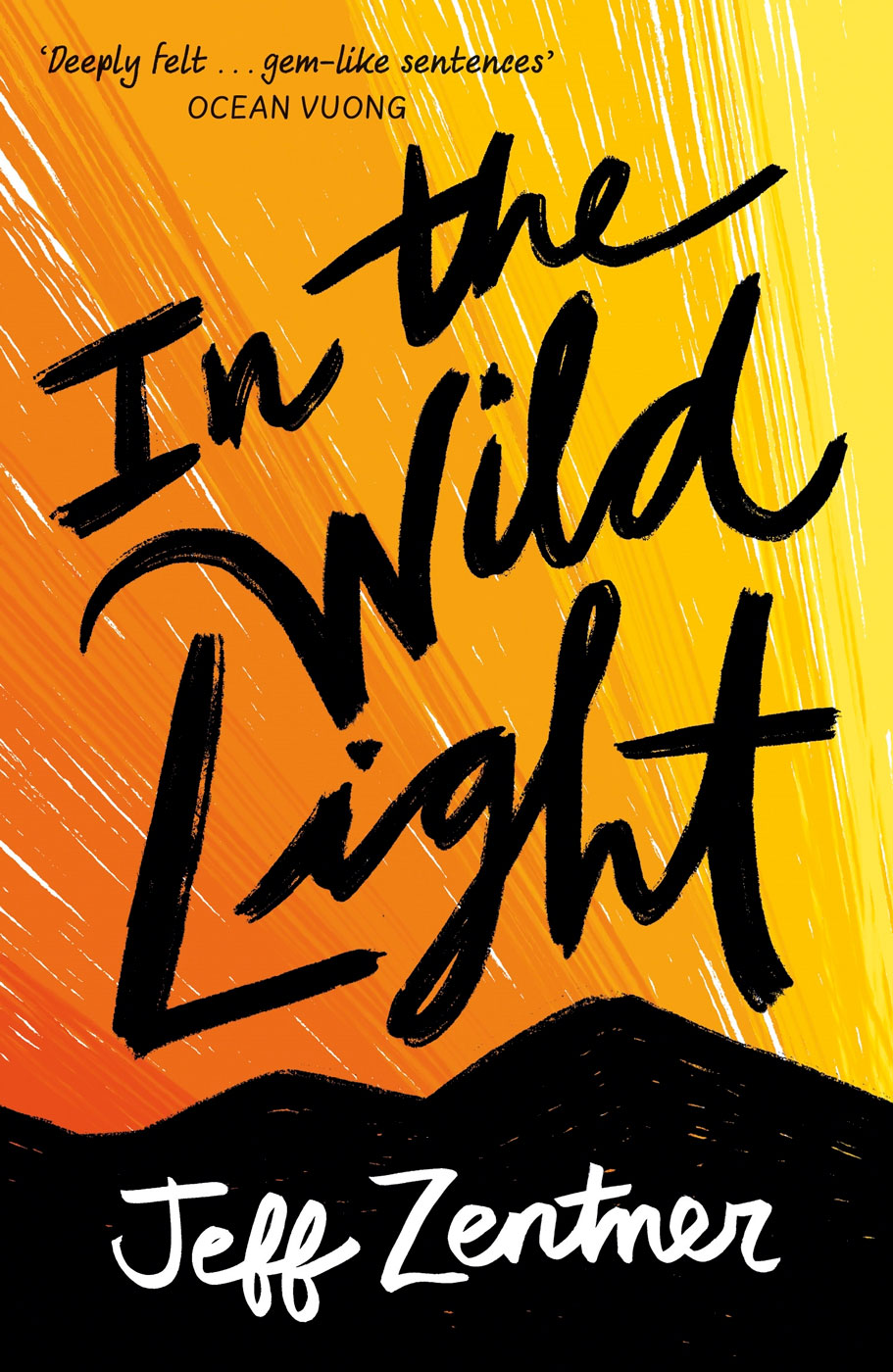 In The Wild Light cover image